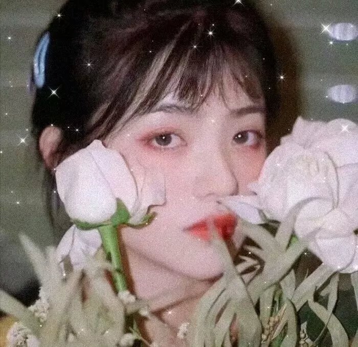 比基尼琼斯和爱的圣殿